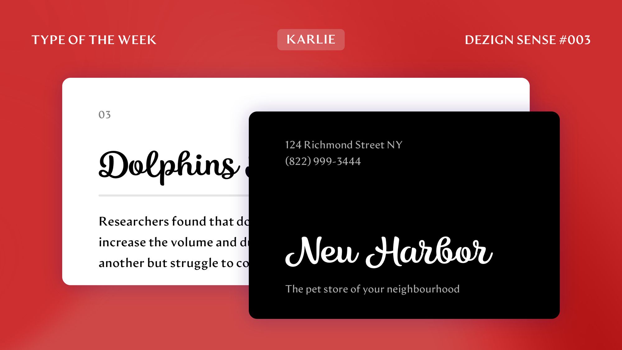 Graphic showing a snippet of a page and a business card, both using Artifex Hand. From top to bottom, the page snippet has page number 03, title Renaissance and text description of renaissance. Business card has two line address, fictional store name "New Harbor" and tagline that says "The lighting store for your home".